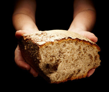 The Bread of Life